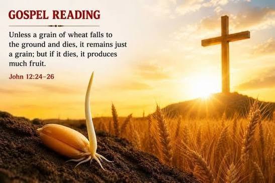 A Grain of Wheat Falling to the Ground